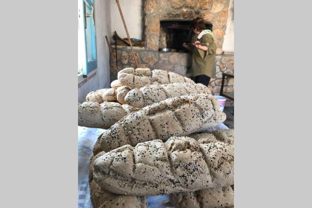 Ktima Sfakia Vila Kéfalos Exterior foto