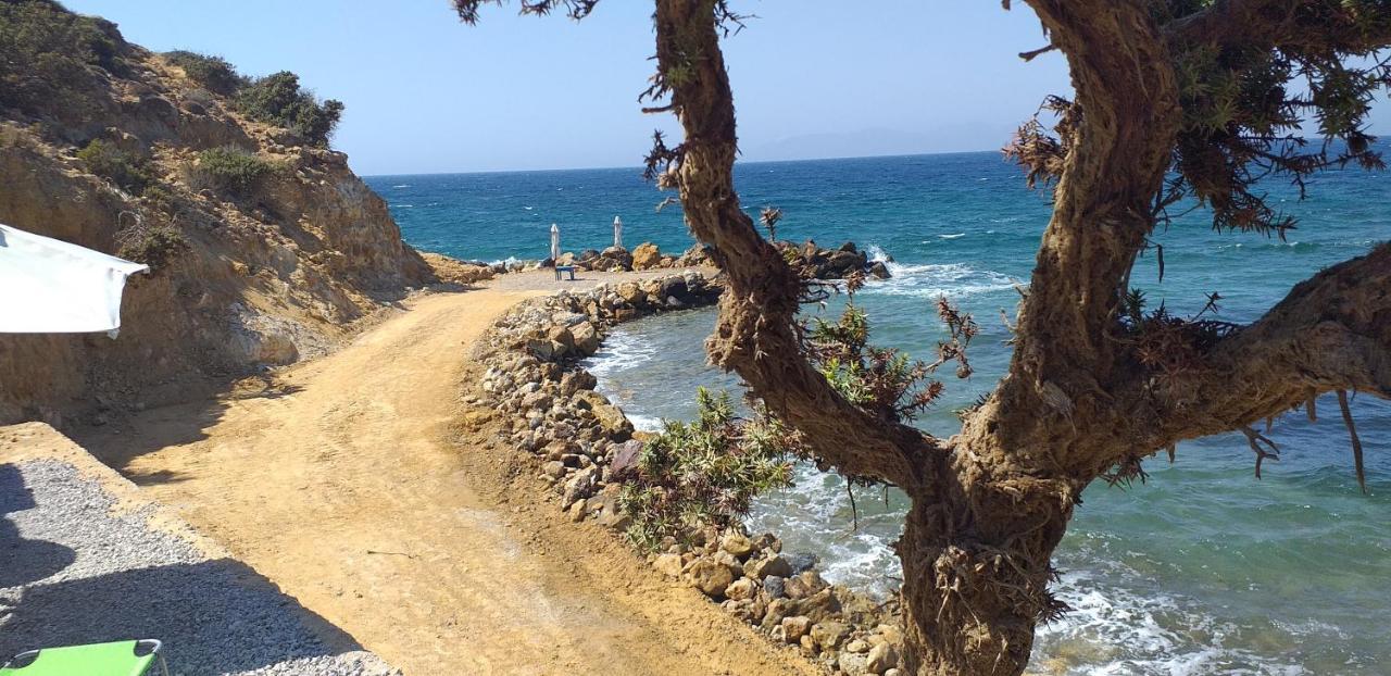 Ktima Sfakia Vila Kéfalos Exterior foto